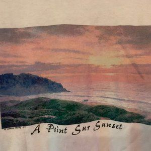 Big Sur Artwork Short-SleeveTee NWOT